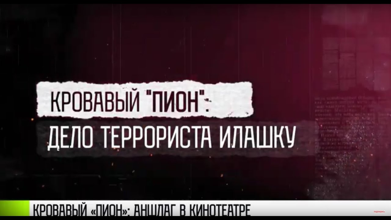 Простить террористов это дело бога. Кровавый пион дело Илашку. Кровавые пионы. «Дело группы Илашку».