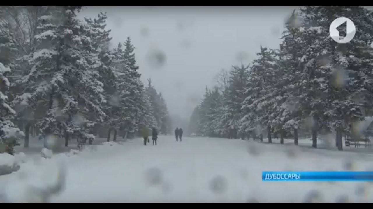 Погода в дубоссарах на неделю. Дубоссары зима. Климат ПМР. Погода в Дубоссарах.