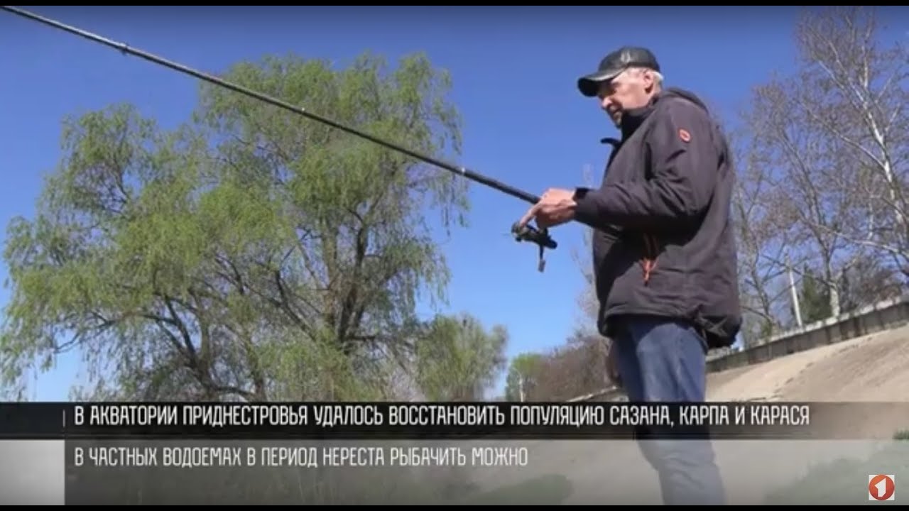 Запрет на рыбалку в алтайском крае 2024. Рыбалка запрещена. Нерест рыбалка запрещена. Рыбалка нерестовый запрет 2023. Места рыбалки в ПМР.