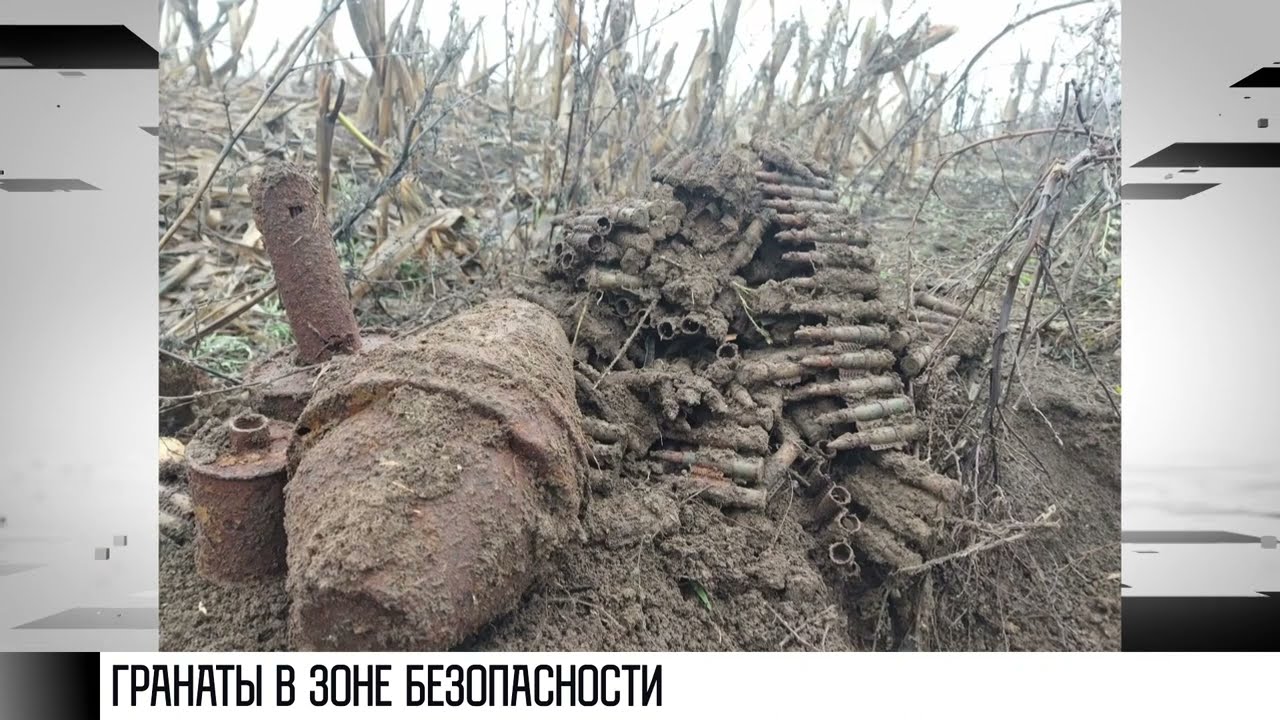 Гранаты и патроны в Зоне безопасности | Первый Приднестровский