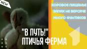 В путь! Григориопольская птичья ферма - 11/02/21