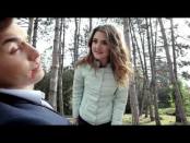Утро. Lite / 100 страниц "Заплутавших сосен"