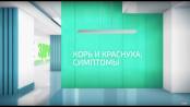 Корь, краснуха: симптомы и осложнения / Здравствуйте