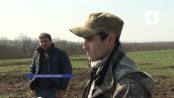 Проблема потравы сельхозугодий дикими кабанами в Каменском районе