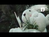 Ролик "Я иду к вам. Новый 2017 год". №5