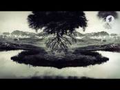 Утро. Lite / История фотографии: Джерри Уэлсман