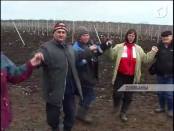 Праздник виноградарей