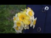 Емисиуня та - 22/04/17