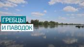 Паводок не повод сушить вёсла. Гребцы и наводнение