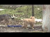 ЛА ТИМП - 4/02/16