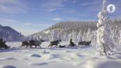 Утро. Lite / Самые холодные места на Земле
