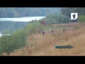 Экологическая акция «Чистый берег» в Григориополе