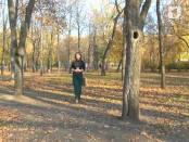 ЕМИСИУНЯ ТА 30/11/13