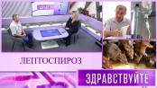 Лептоспироз. Программа «Здравствуйте» - 28/06/26