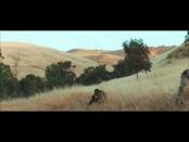 Мальчики возвращаются