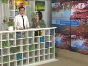 Программа "Утренний эфир" 13/11/13