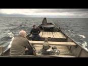 torrento.net - Волчий остров (2013) - фрагмент