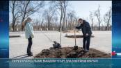 Супруги Красносельские высадили дубы в Музейном квартале