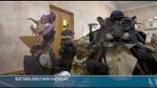 Викторины, концерт и герои эпох: «Ночь в музее» в Бендерах