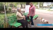 Забота и терпение – принцип жизни социального работника