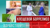 Клещевой боррелиоз. Программа "Здравствуйте" - 04/06/23