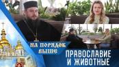 Православные и животные. Программа "На порядок выше" - 12/03/23
