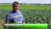 Программа "Гектар" - 09/07/15