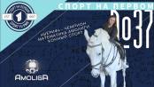 Конный спорт, плей-офф «Амолиги», призёр Олимпиады из Тирасполя – СПОРТ НА ПЕРВОМ #37 (2021/22)