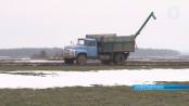В Каменке началась подкормка озимых
