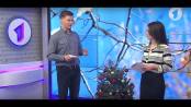 Программа "Доброе утро, Приднестровье!" - 27/12/18