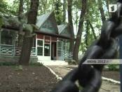 Четыре смены в летних лагерях