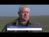 Программа "Вовремя" - 5/11/15