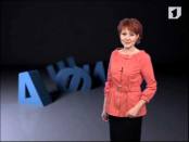 Программа "АФИША" 27/01/2013