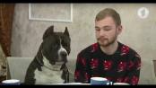 «Хорошо сидим»: Павел и его стаффордширский терьер Чак / Сарафан-шоу