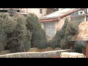 Программа "Дайте жалобную книгу" 17/02/14