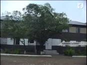 90% посевных площадей некоторых сёл Дубоссарского района пострадали в результате града