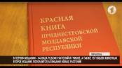 Новая Красная книга и Национальный парк Приднестровья