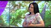 Какими будут тарифы в 2019 году? / Утренний эфир