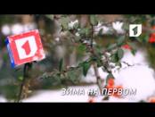 Ролик "Зима на Первом". №1