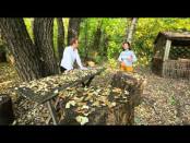 Программа "Утро. Lite" - 19/10/14