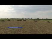 В Рыбницком районе кормом для домашних животных теперь занимаются местные власти