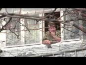 Программа "ВОВРЕМЯ. Точка отчёта" - 08/03/15