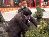 В Рыбнице готовятся к кампании по благоустройству