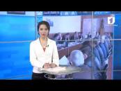 ВЧАСНО 23/05/14