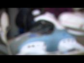 Программа "Утренний эфир" - 27/01/15