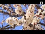 Программа "Утренний эфир" 1/04/14