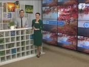 Программа "Утренний эфир" 15/11/13