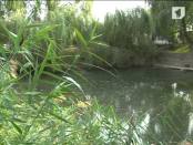 Программа "Возвращение к истокам" 13/10/13