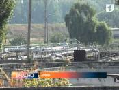 ВЧАСНО 31/01/14