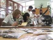 Программа "Вовремя. Точка отчёта" 26/01/14